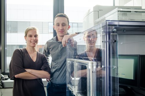 q-phase_mu_balvan.jpg q-phase_mu_balvan.jpg